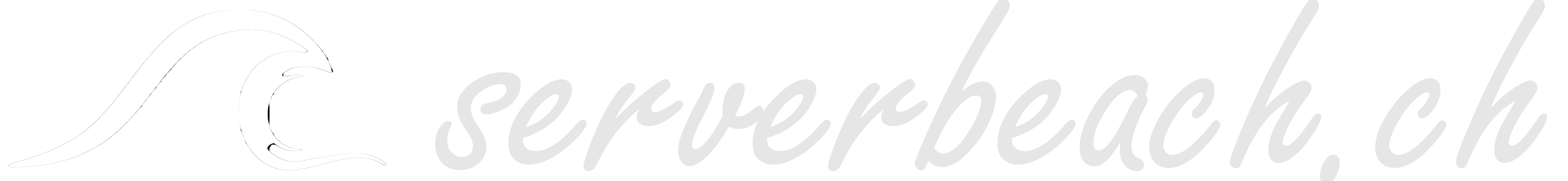 serverbeach.ch - swiss hosting provider - since 2001